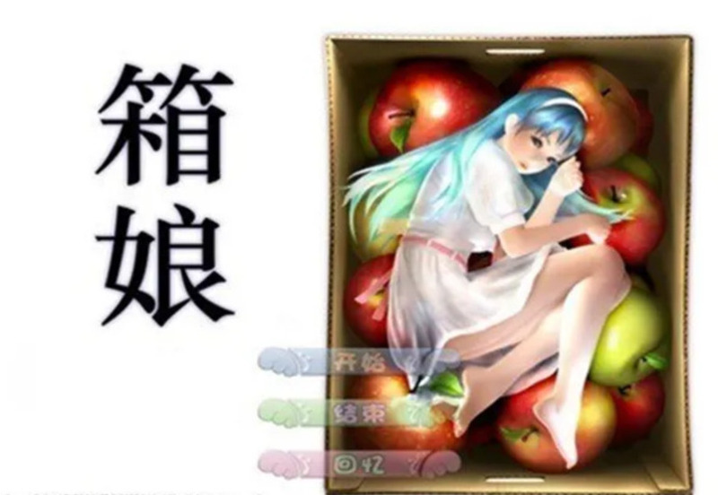 《3D箱娘》简体中文版